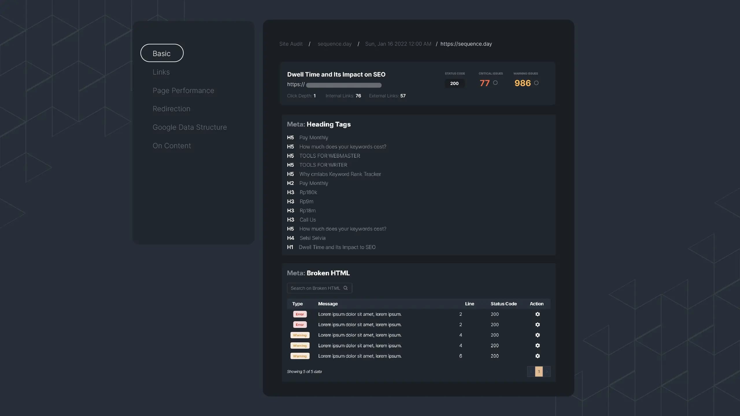 Picture 1: Site Audit Basic Report detail